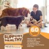Skin and Coat Supplement with Fish Oil and Omega 3 for Dogs and Cats Dog Itch Relief Pet Supplement for Shedding Dry Itchy Skin and Allergies Dog Alle